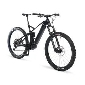 Pedego Elevate