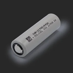 Molicel INR21700-P42A product photo