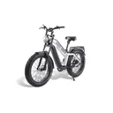Ariel Rider Kepler Dual Battery PPB - Image 7