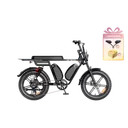 Heybike Saturn Single Battery (Leather Black) - Image 1