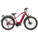 Biktrix Juggernaut Ultra Duo 4 Step-Over - Image 5