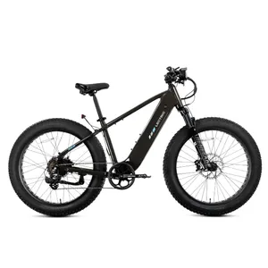 Lectric XPeak2 High-Step