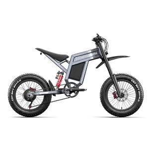 Shengmilo S900