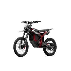 Segway-Ninebot Xaber 300