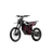 Segway-Ninebot Xaber 300
