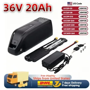 Aleaivy 36V 10Ah Hailong