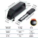 Aleaivy 36V 10Ah Hailong - Image 6