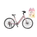 Heybike Venus (Titanium Grey)
