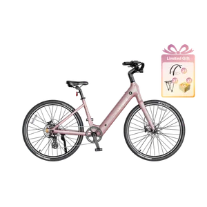 Heybike Venus (Rose Gold)