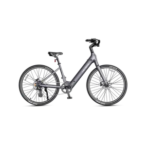 Heybike Venus (Titanium Grey)