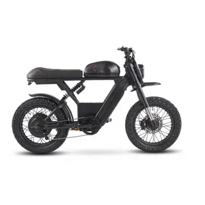 Ariel Rider Grizzly 72V PPB product photo