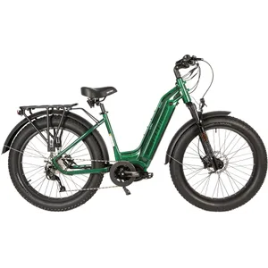 Biktrix Juggernaut Ultra Duo 4 Step-Thru