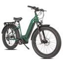 Biktrix Juggernaut Ultra Duo 4 Step-Thru - Image 7