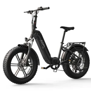 TST Buddy Pro (Gray)