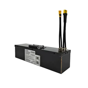 AMORGE 16S4P 20Ah 80A (Samsung 50S) for Crazy Cart