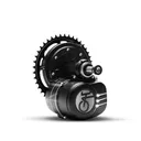 Tongsheng TSDZ2 OSF Coaster Brake (350W)