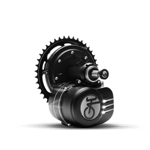 Tongsheng TSDZ2 OSF Coaster Brake (350W)