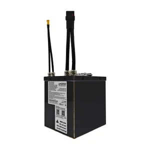 AMORGE 13S6P 24Ah 220A (EVE 40PL)