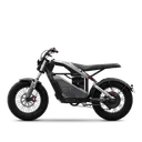 Segway-Ninebot Xyber - Image 3