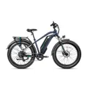 Magicycle Cruiser Pro