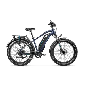 Magicycle Cruiser Pro product photo