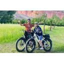 Magicycle Cruiser Pro - Image 2