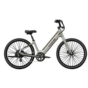 Aventon Pace 4 (Flint)