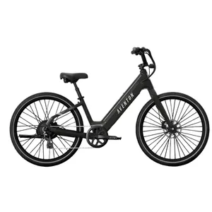 Aventon Pace 4 (Flint) product photo