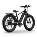 NIU BQi Fat Tire 300 - Image 4