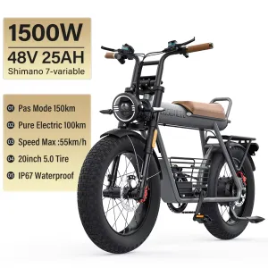 COSWHEEL CT20S 1500W 48V 25Ah product photo