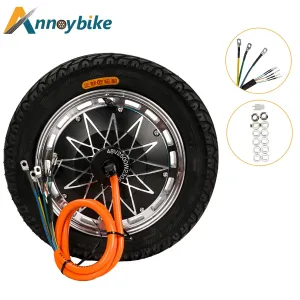 Annoybike 12" Hub Motor 60V 2000W