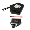 AMORGE 20S9P 45Ah 220A (Samsung 50S) for MXR - Image 12