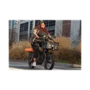 Rad Power Bikes RadRunner Max - Image 9