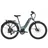 Aventon Level 2 Step-Through (Polar)