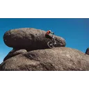 Cannondale Moterra SL LAB71 - Image 2