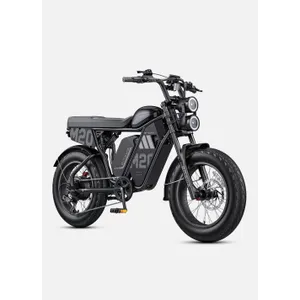 Engwe M20 3.0 (Single Battery)