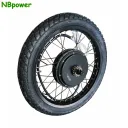 QS Motor QS205 50H V3 (18")