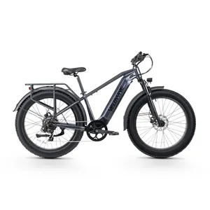 Velowave Ranger 3.0