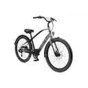 Trek Townie Go! 7D EQ Step-Over