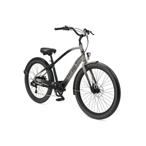 Trek Townie Go! 7D EQ Step-Over