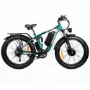 Bikes&You DP2603 Dual-Motor Fat eBike (Green)