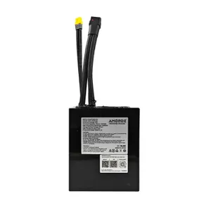 AMORGE 16S5P 25Ah 125A (Samsung 50S)