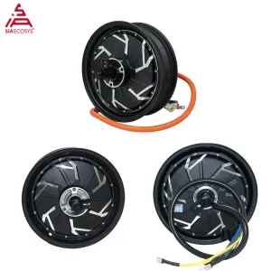 QS Motor QS260 3000W V4 (13")