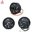 QS Motor QS260 3000W V4 (12")