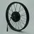 MXUS 48V 750W Geared Hub Motor in 24" Wheel (Freewheel)
