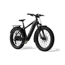 Aventon Aventure 3 (Matcha) - Image 4