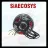 QS Motor QS268 3000W V5 (12")