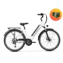 JasionBike EB5 Roamer ST (Pale Green) - Image 14