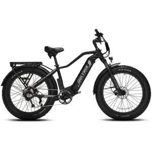 Biktrix Juggernaut Hub Duo Step-Over 2