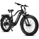 Biktrix Juggernaut Hub Duo Step-Over 2 - Image 2